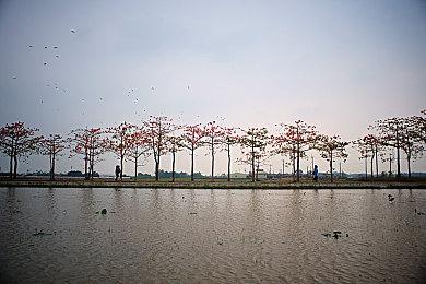 欢乐多人游戏周限时开启！上蒸汽平台一起多人同乐